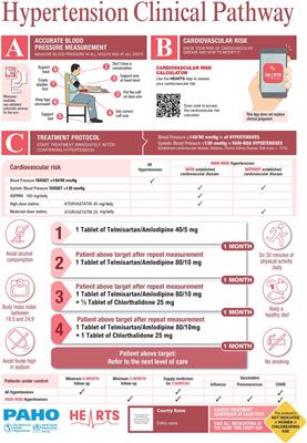 HEARTS in the Americas clinical pathway. Strengthening the decision support system to improve hypertension and cardiovascular disease risk management in primary care settings
